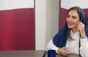 Diana Hamade Net Worth 2026: Biography, Career, Law Firm & Success
